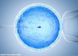 单身生子助孕机构